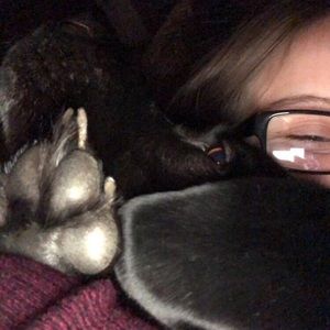 Meet your Posher, Madison